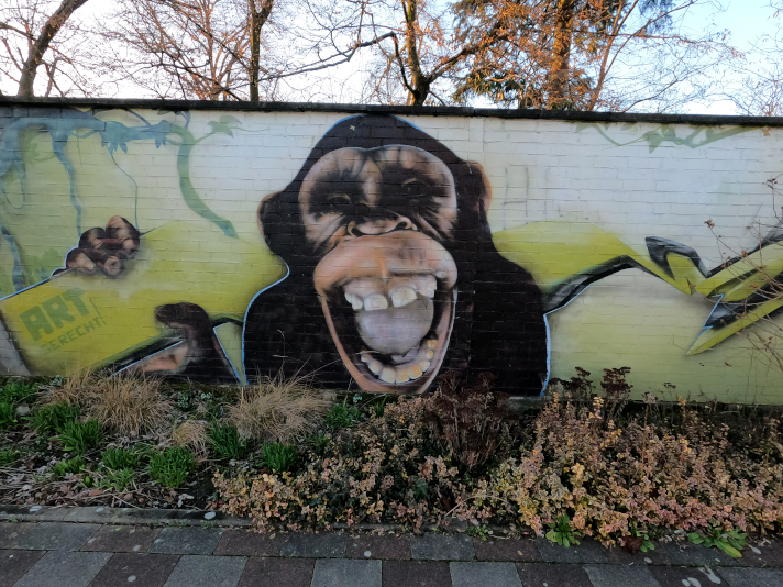 Street Art Animals Monkey