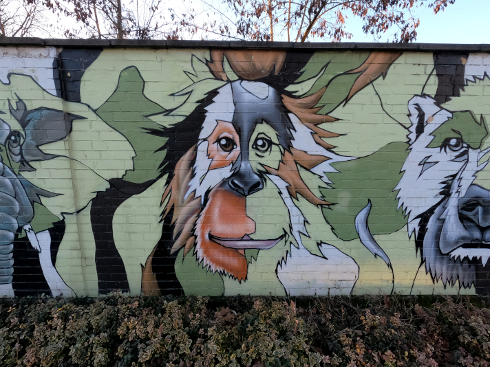 Street Art Animals Monkey