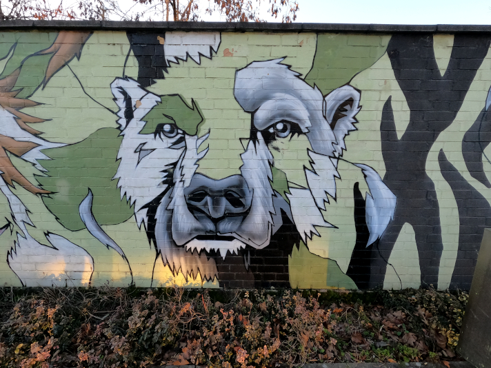 Street Art Animals Ice Bear