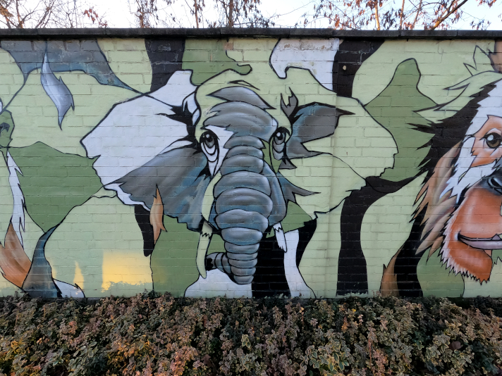 Street Art Animals Elefant