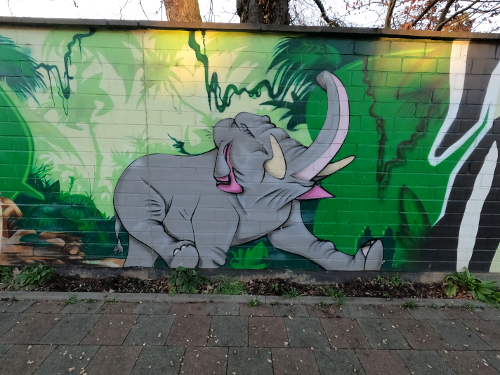 Street Art Animals Elefant