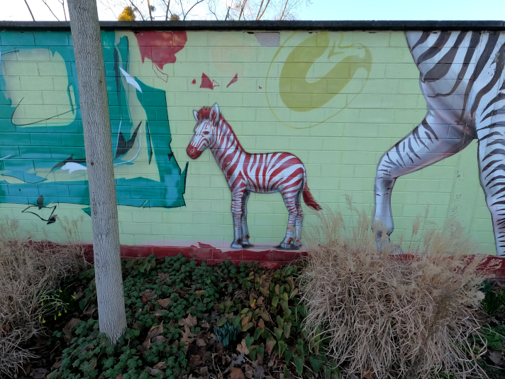 Street Art Animals