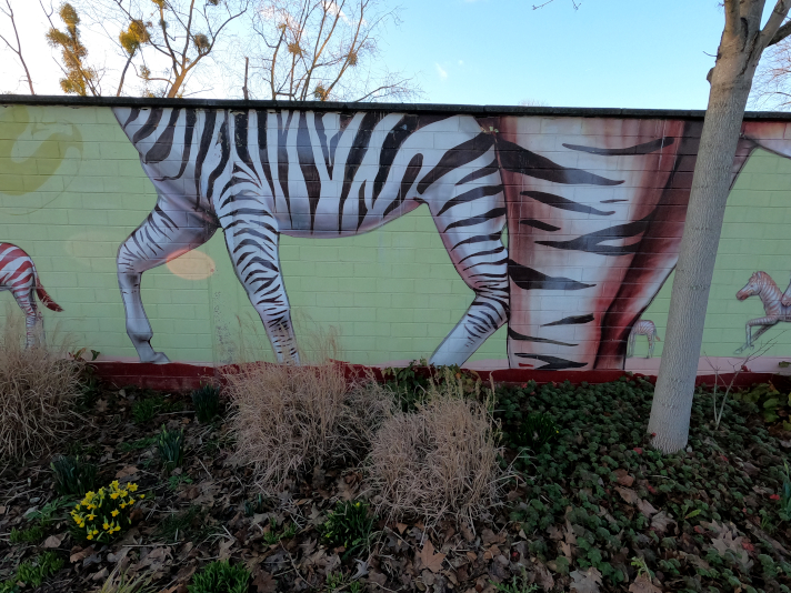 Street Art Animals