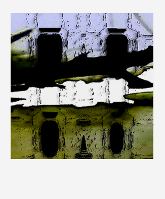 Polaroid Photography