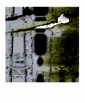 Polaroid Photography