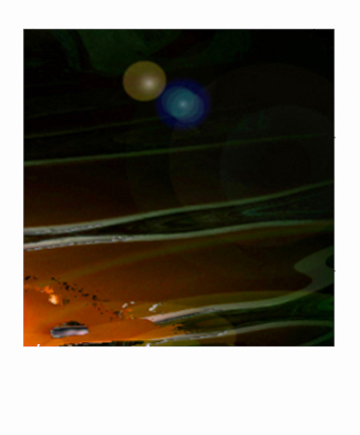 Polaroid Photography