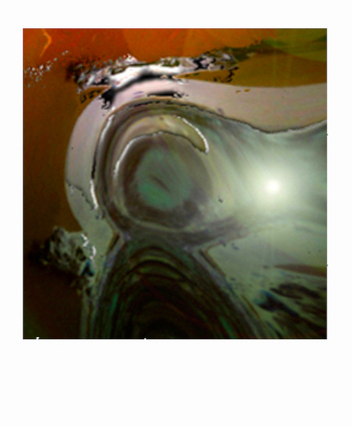 Polaroid Photography