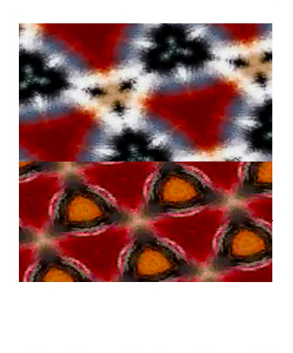 Polaroid Photography