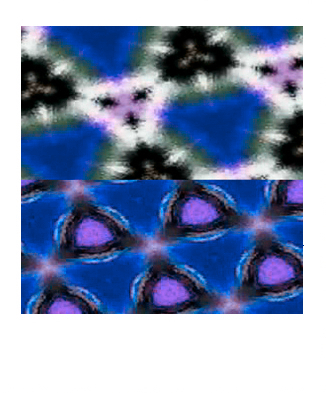 Polaroid Photography