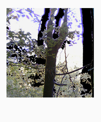 Polaroid Photography