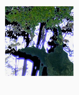 Polaroid Photography