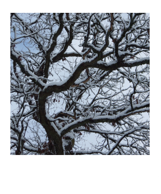 Polaroid Photography