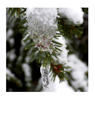 Polaroid Photography